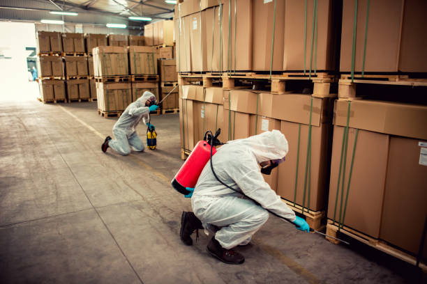 Best Exterminator Services  in Destrehan, LA