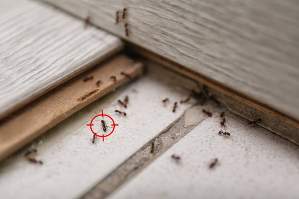 Best Wildlife Control Services  in Destrehan, LA