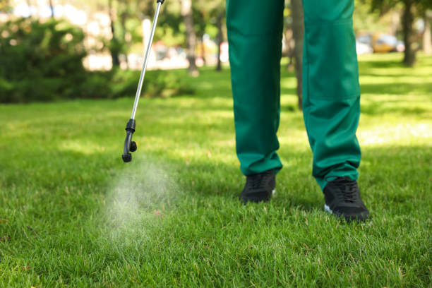 Best Flea Control Services  in Destrehan, LA