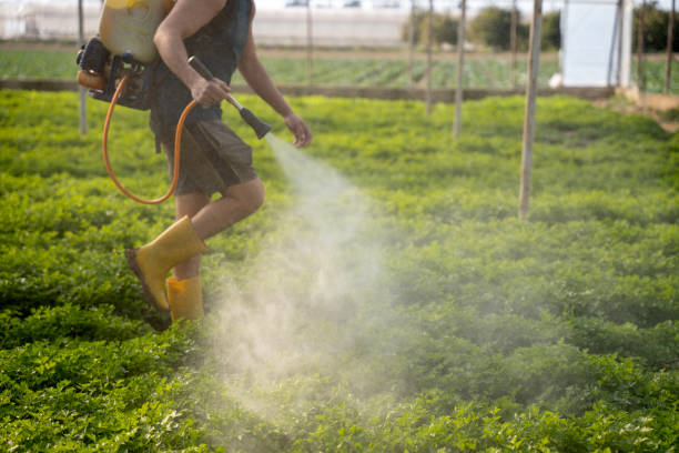 Best Best Pest Control Companies  in Destrehan, LA