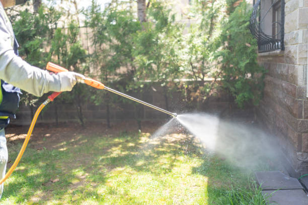 Reliable Destrehan, LA Pest Control Solutions