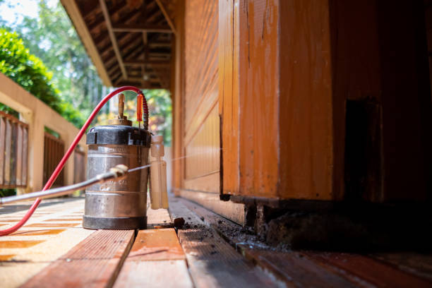 Best Wasp Removal Services  in Destrehan, LA