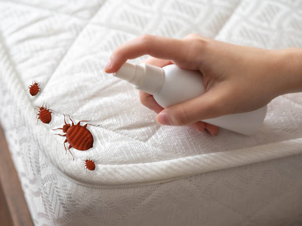 Best Residential Pest Control  in Destrehan, LA