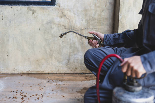 Pest Prevention Services in Destrehan, LA