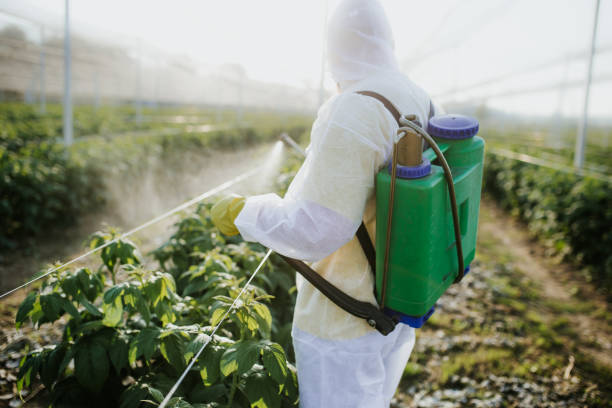 Best Pest Inspection Near Me  in Destrehan, LA